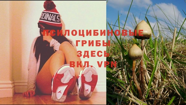 мескалин Абдулино