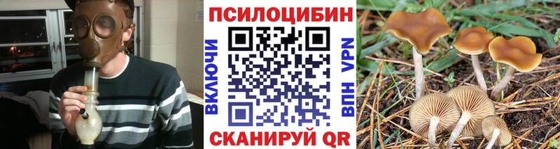 Галлюциногенные грибы мицелий Ярославль